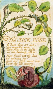 La Rose malade, tirée de 